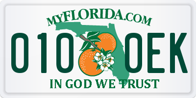 FL license plate 0100EK