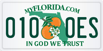 FL license plate 0100ES