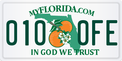 FL license plate 0100FE