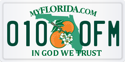 FL license plate 0100FM