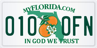 FL license plate 0100FN