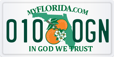 FL license plate 0100GN