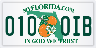 FL license plate 0100IB