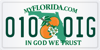 FL license plate 0100IG