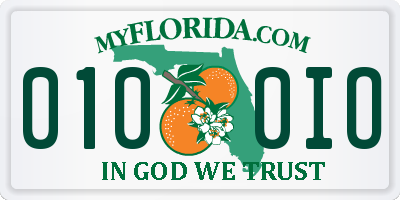 FL license plate 0100IO