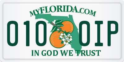 FL license plate 0100IP