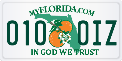 FL license plate 0100IZ