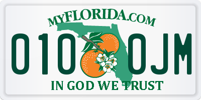 FL license plate 0100JM