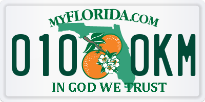 FL license plate 0100KM