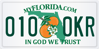 FL license plate 0100KR