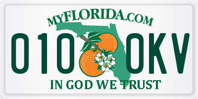 FL license plate 0100KV