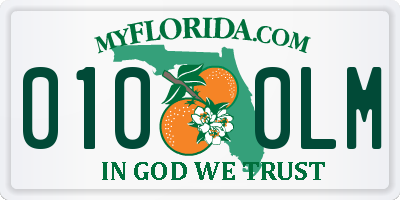 FL license plate 0100LM