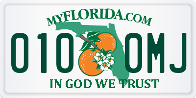 FL license plate 0100MJ
