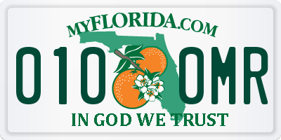 FL license plate 0100MR