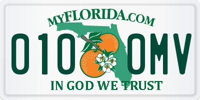 FL license plate 0100MV