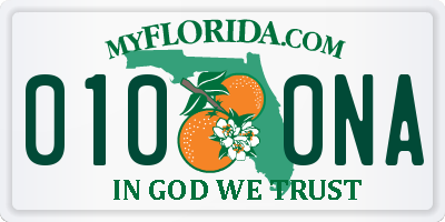 FL license plate 0100NA