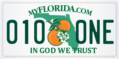 FL license plate 0100NE