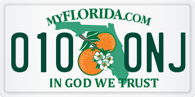 FL license plate 0100NJ
