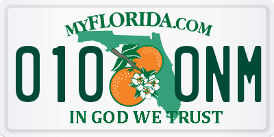 FL license plate 0100NM