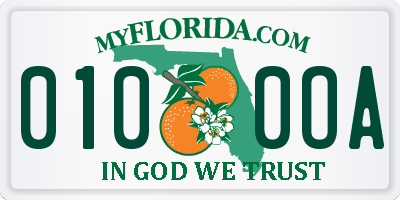 FL license plate 0100OA