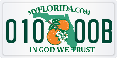 FL license plate 0100OB