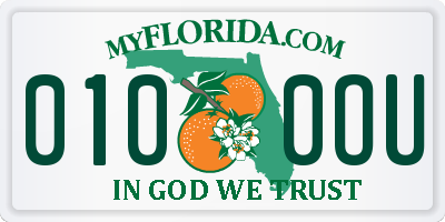 FL license plate 0100OU