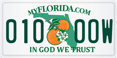 FL license plate 0100OW