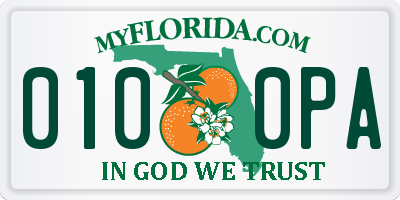 FL license plate 0100PA