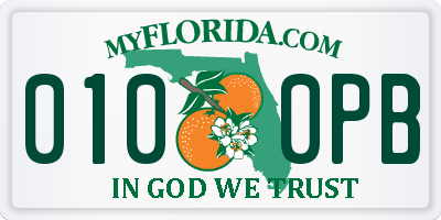 FL license plate 0100PB