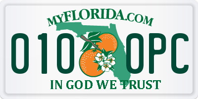 FL license plate 0100PC