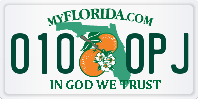 FL license plate 0100PJ