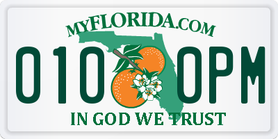 FL license plate 0100PM