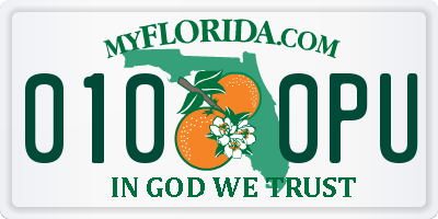 FL license plate 0100PU