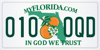 FL license plate 0100QD