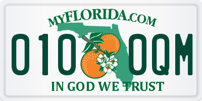 FL license plate 0100QM