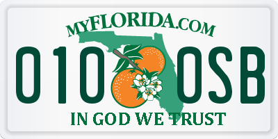 FL license plate 0100SB