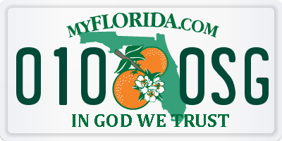 FL license plate 0100SG