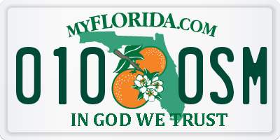 FL license plate 0100SM