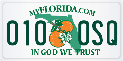 FL license plate 0100SQ