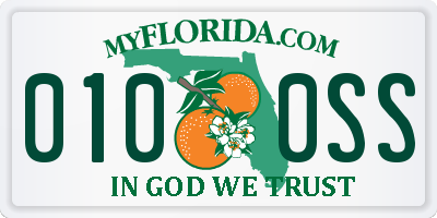 FL license plate 0100SS