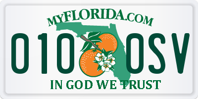 FL license plate 0100SV