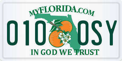 FL license plate 0100SY