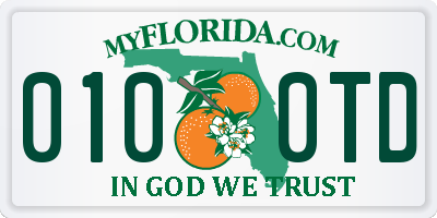FL license plate 0100TD