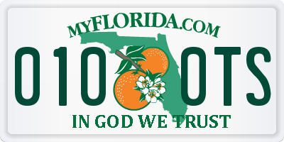 FL license plate 0100TS