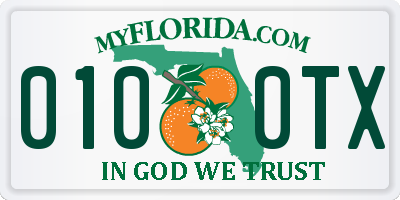 FL license plate 0100TX