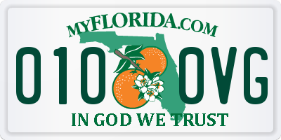FL license plate 0100VG