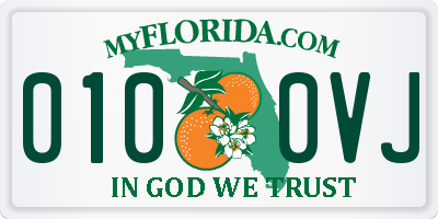 FL license plate 0100VJ