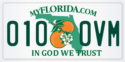 FL license plate 0100VM