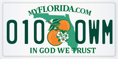 FL license plate 0100WM