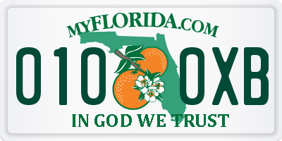 FL license plate 0100XB